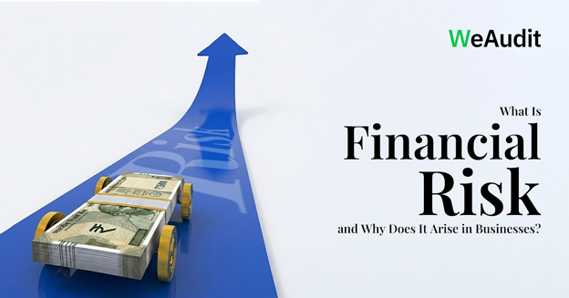 What Is Financial Risk and Why Does It Arise in Businesses?